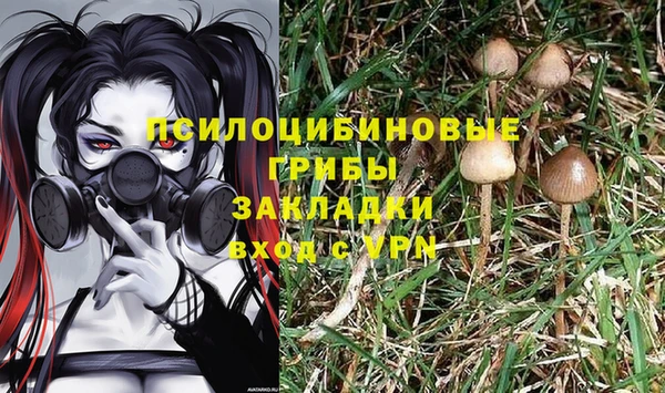 мяу мяу мука Бронницы